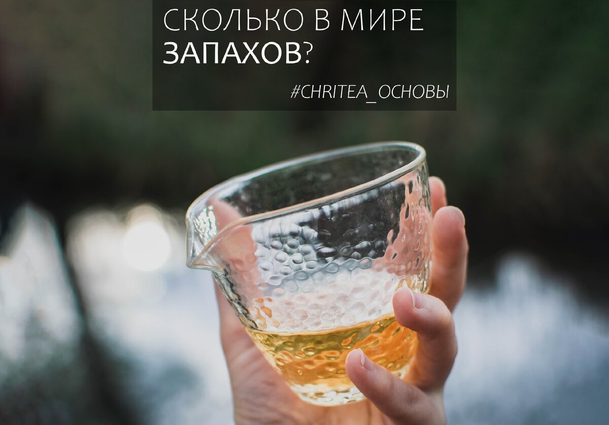 Сколько пахнет. В мире запахов. Мир запахов. Сколько в мире запахов. Самый лучший запах в мире.