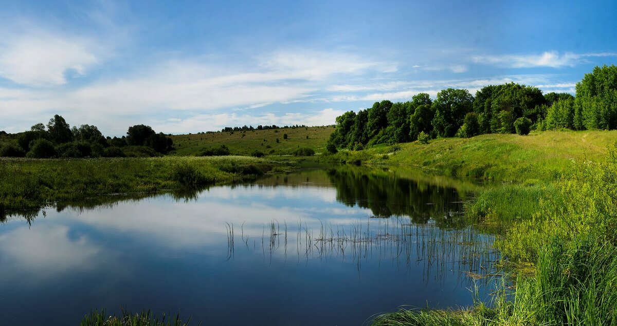 Село дзен