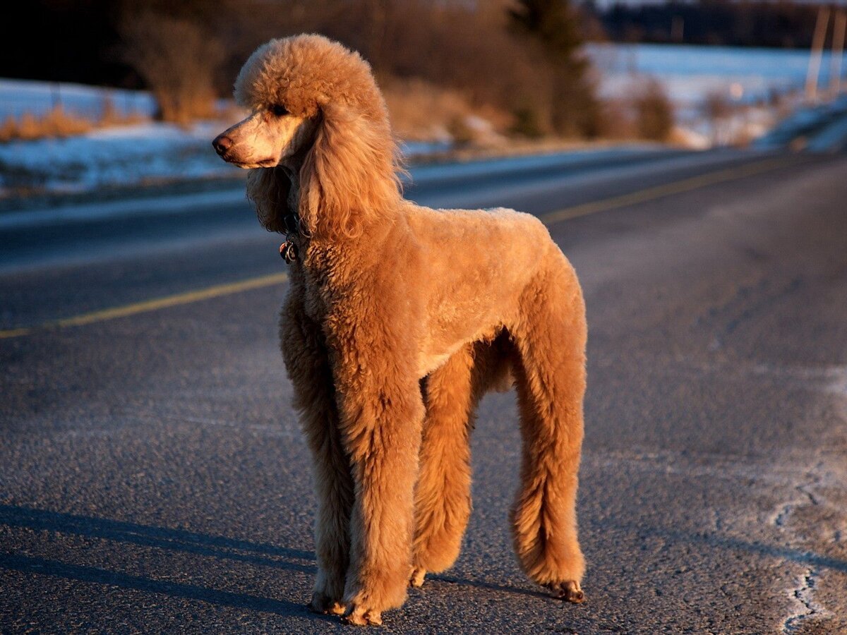 Фото с сайта wallpaperscraft.ru