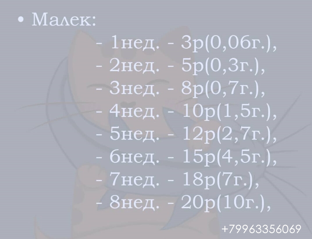 Клариевый сом домашних условиях. Акваферма в сарае. Можно ли выращивать Клариевого сома дома? План.