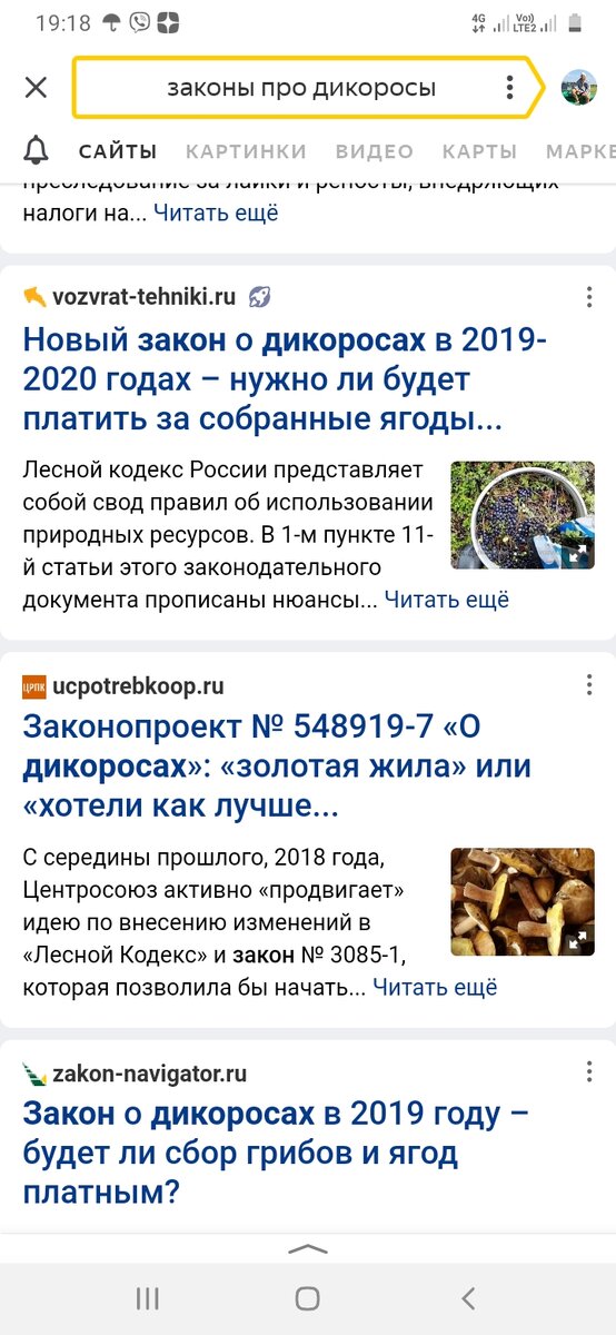 Скриншот из Яндекс 