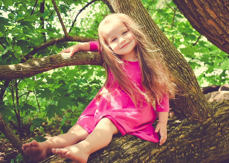 Источник - https://pixabay.com