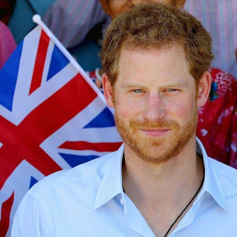 Prince harry s. Принц Гарри. Принц Генри Уэльский. Принц Горро. Генри Чарльз Альберт Дэвид.