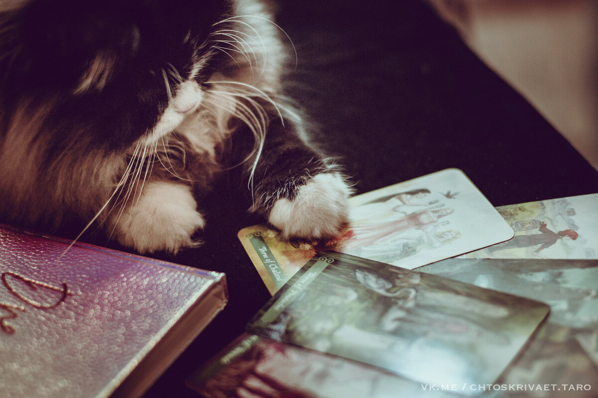 личный помощник