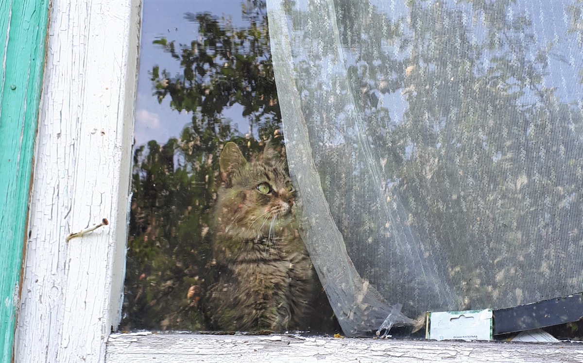 Индикатор еды