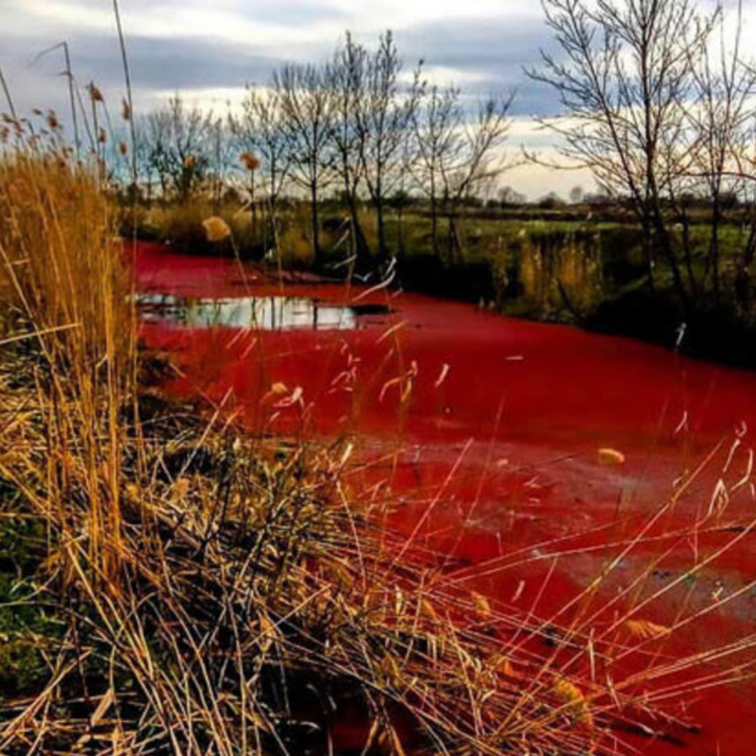 Кровавое озеро Краснодарский край. Красная река Краснодарский край. Кровавая река в Ленинградской области.