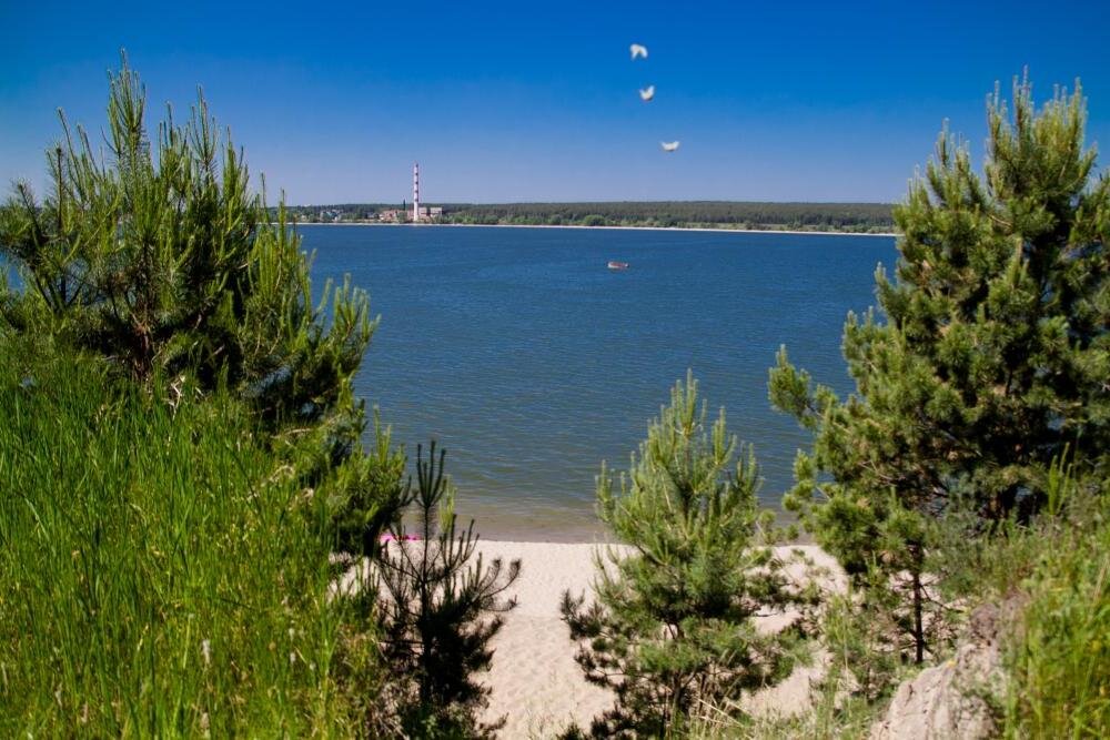 Бердский залив новосибирск фото