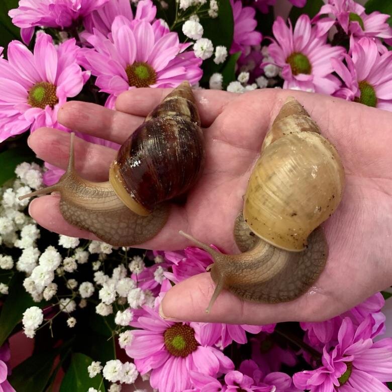 Фото из интернет-источников