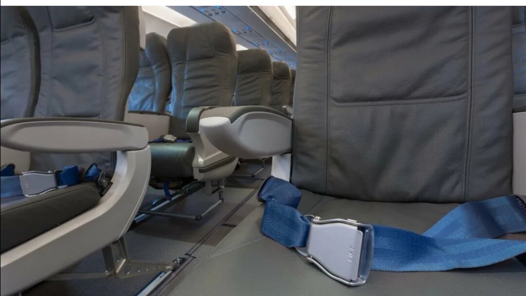 Фото взято из Яндекс Картинки