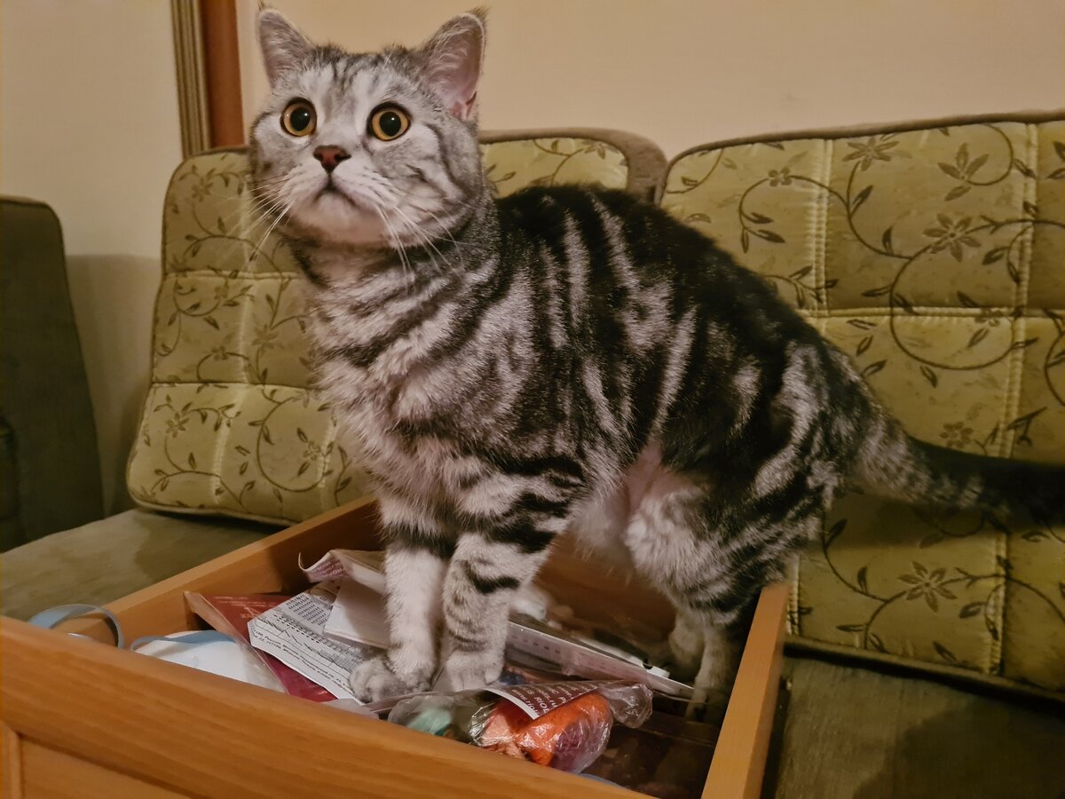 Ящик так похож на коробочку...