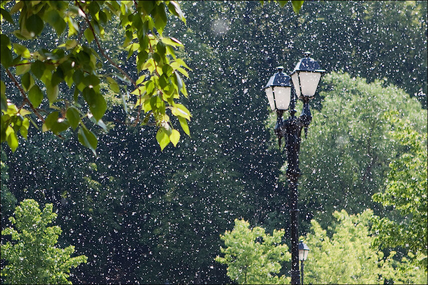 Фото из сети в свободном доступе