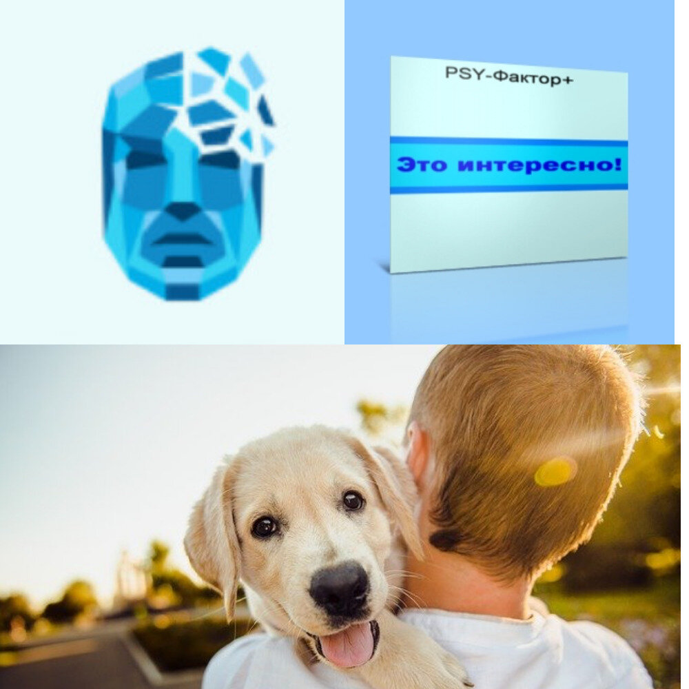 Преимущества владения собакой