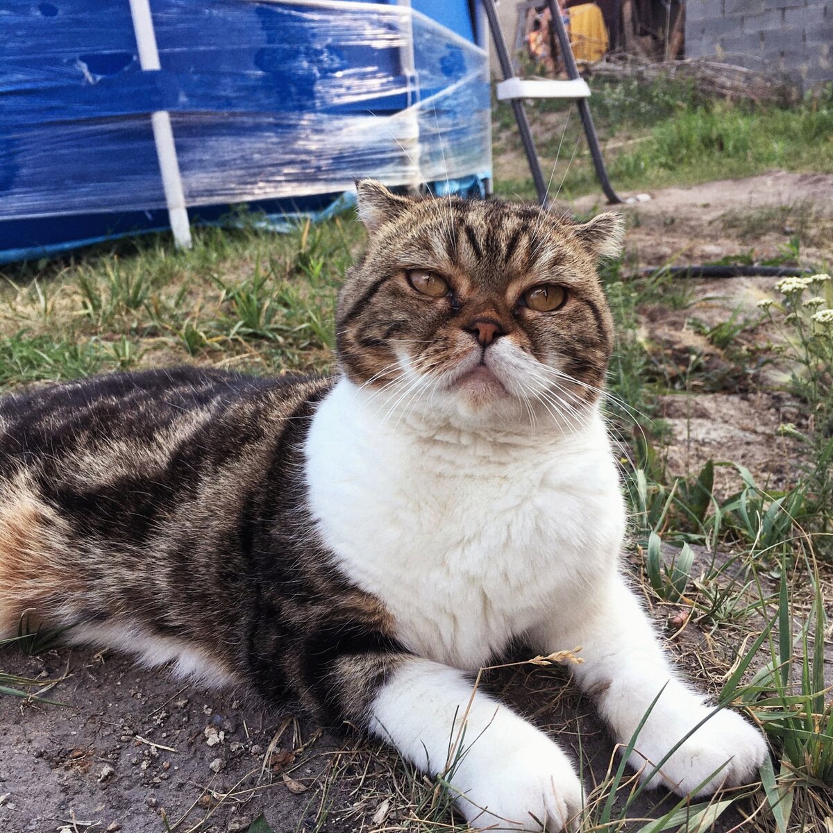 Фото из личного архива