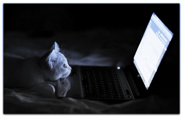 Что пишут обо мне в Интернете? ))