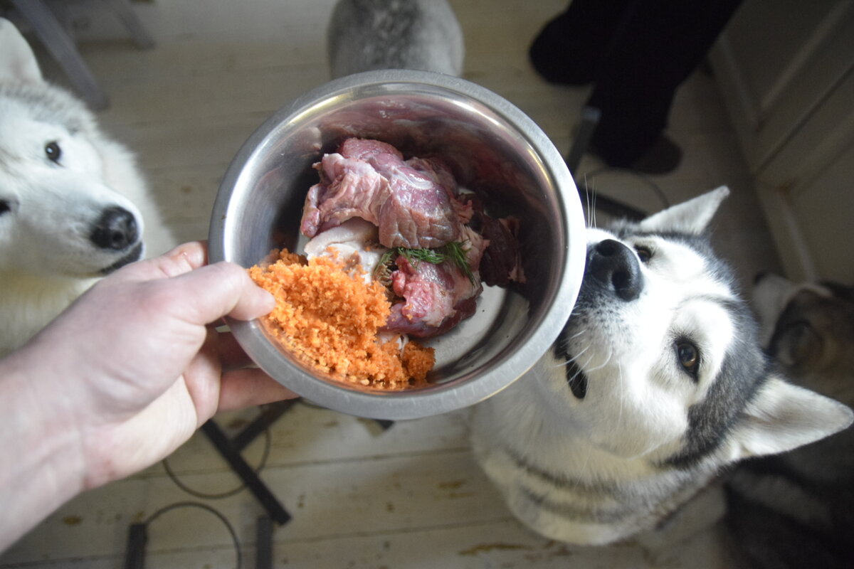 Калтык, щеки, рубец, морковь, печенка.