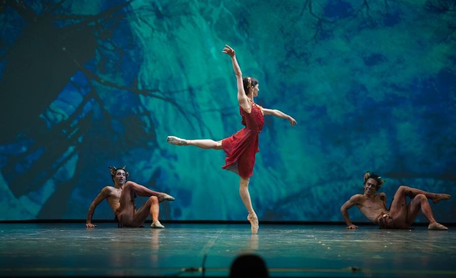 Фото из сети, кажется,  Dutch National Ballet 