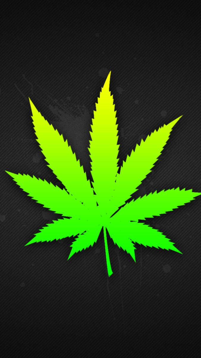 Аккорд марихуана вырастить автоцветущую коноплю