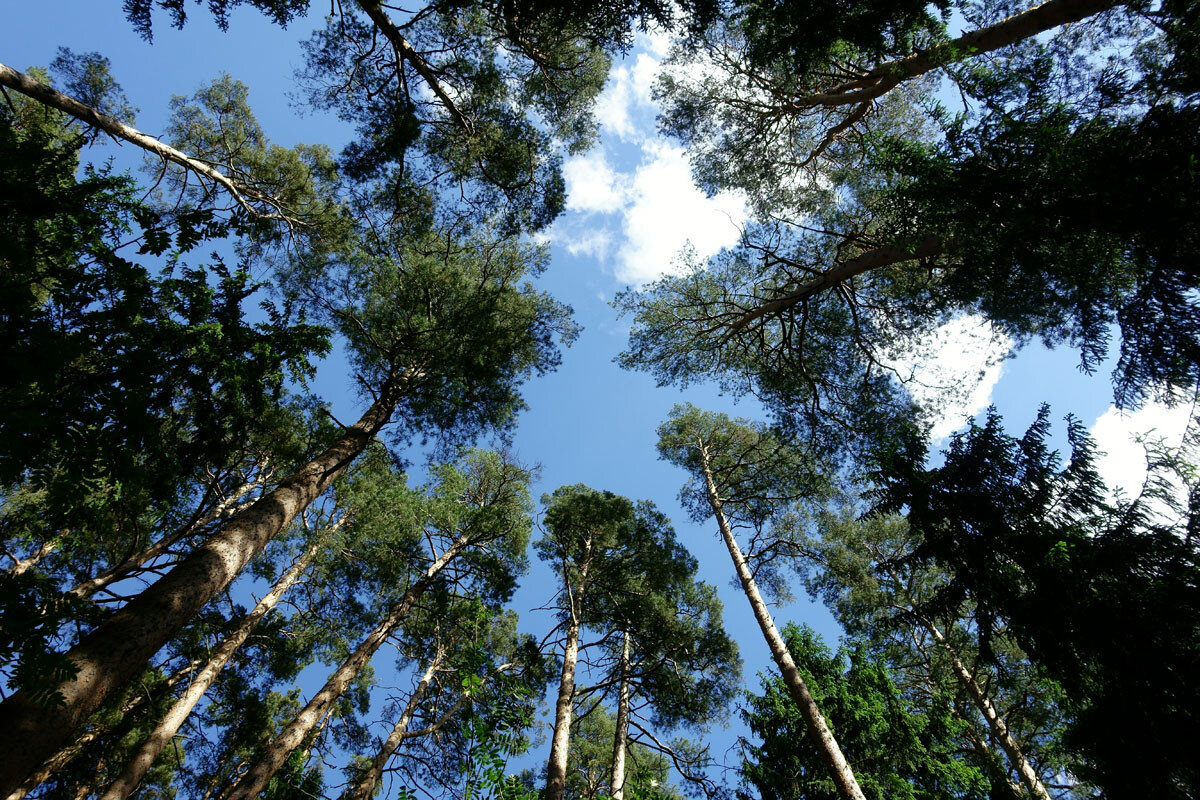 фото Алексея Матвеева