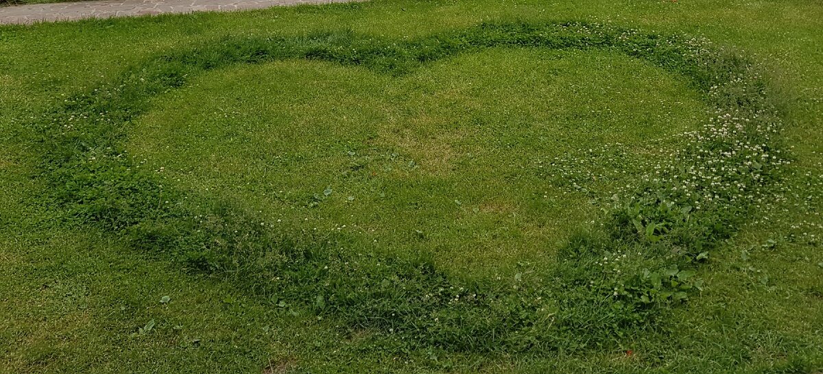 Весь мир для любимой женщины...