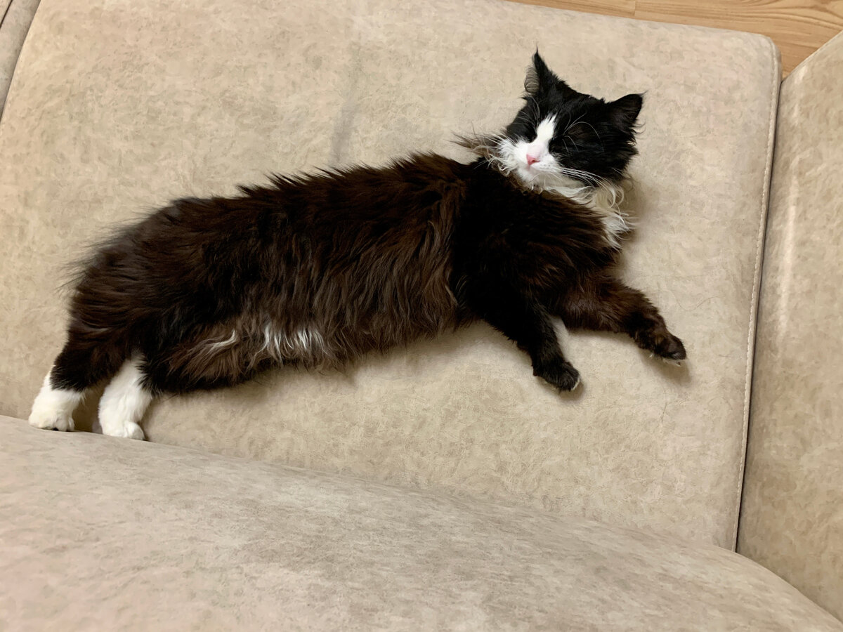 Буся не знает куда себя уже подевать