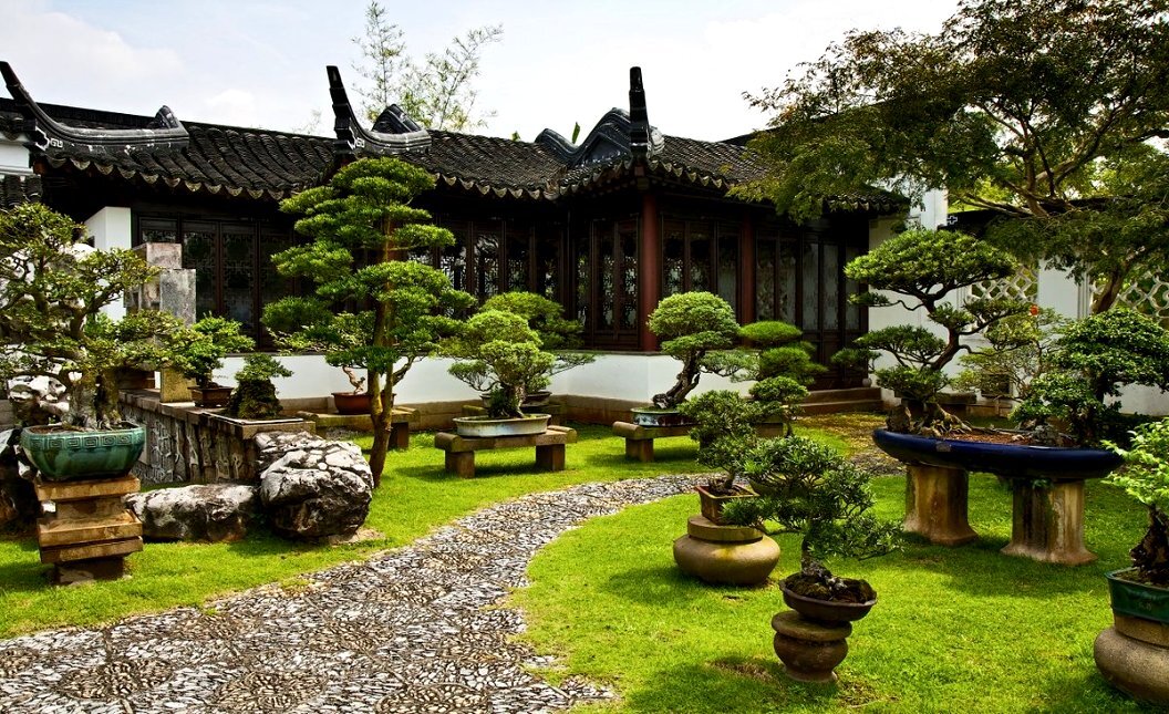 Сад бонсай в Японии