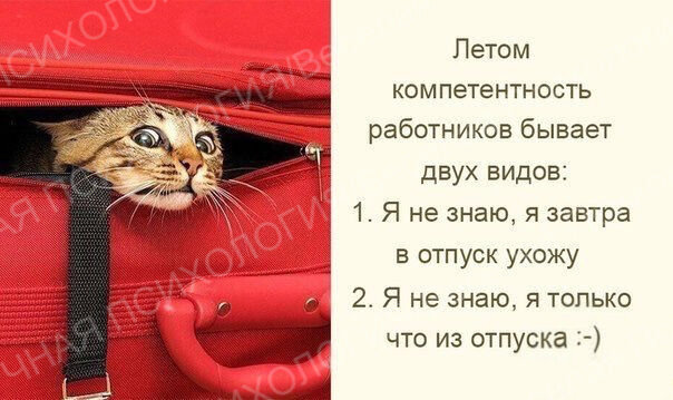 На работу после отпуска. - АйДаПрикол Веселые картинки, Смешные морды животных, 