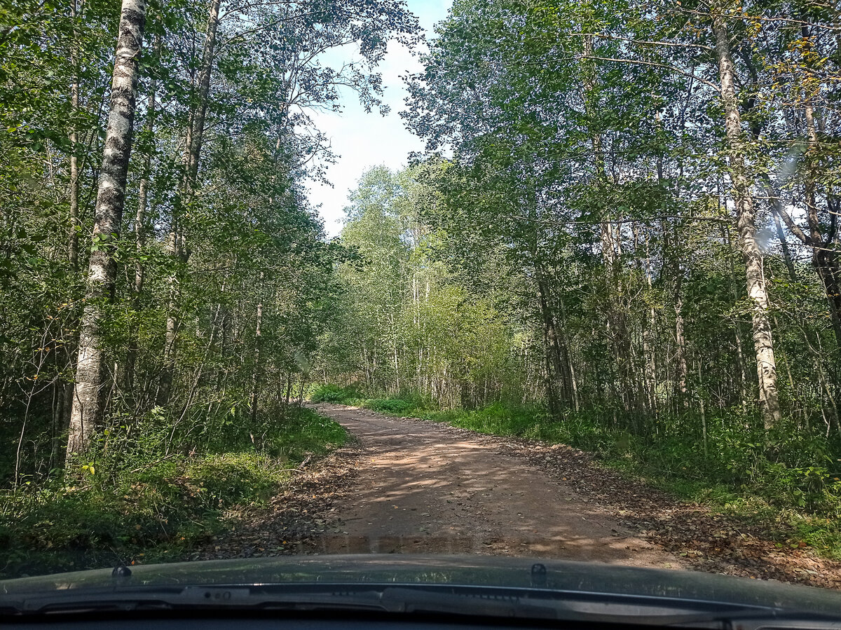 Дорога на исток Западной Двины. Пеновский район Тверской области. Фото автора статьи (ещё 1 фото)