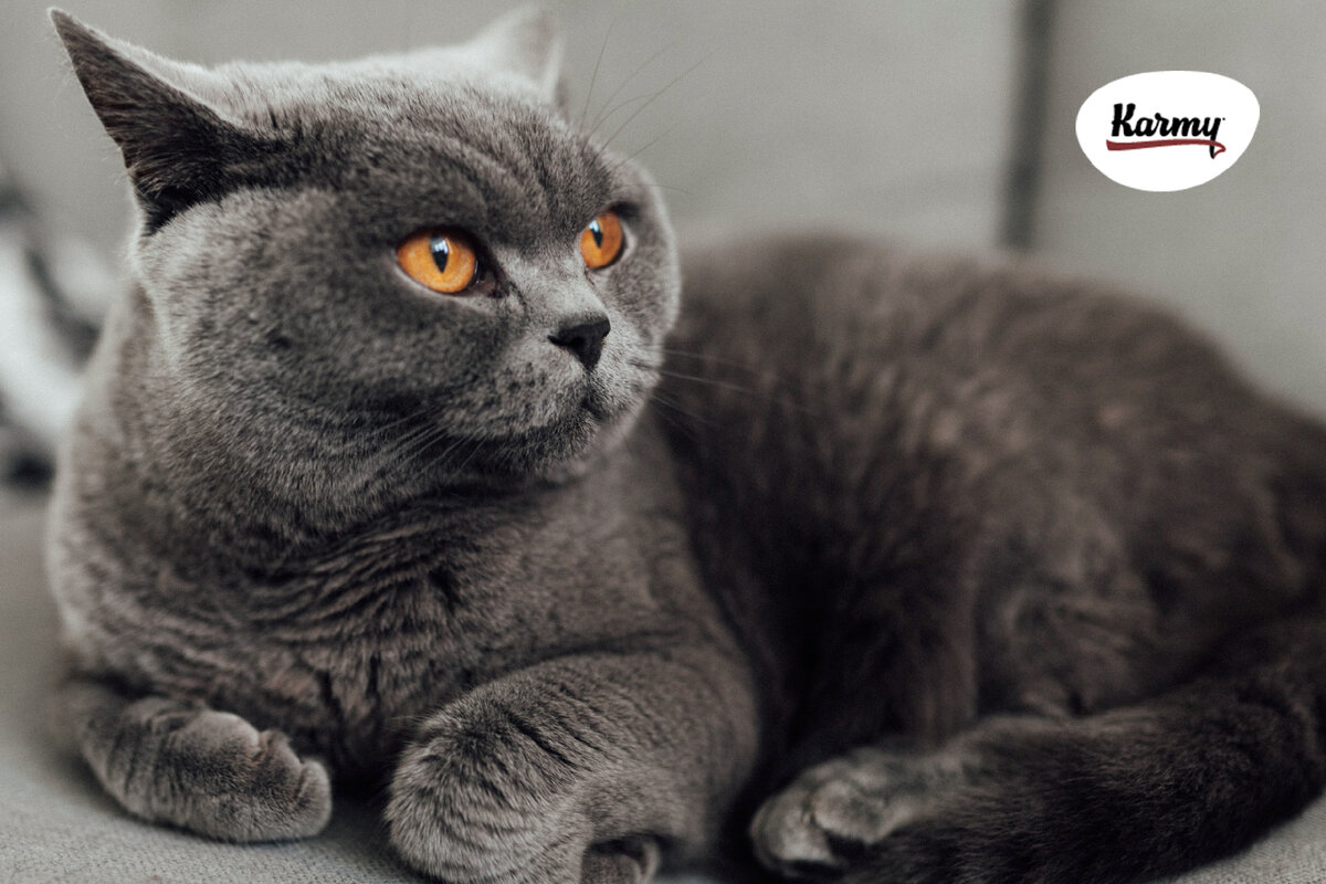 Авторское изображение с использованием картинки с фотостока "Unsplash" 