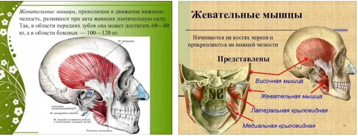 Почему быстро устает человек: главные причины и способы предотвратить усталость