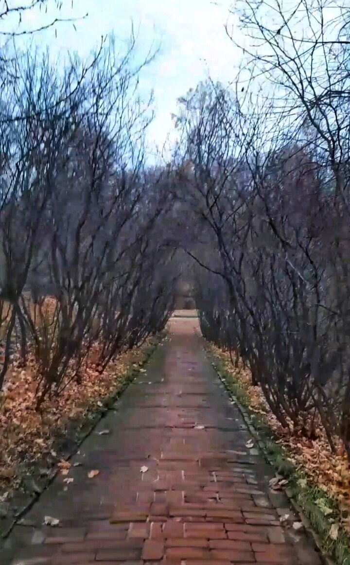 Фото автора. Атмосферы вам!)