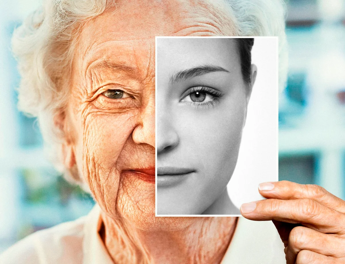 Источник изображения https://avatars.mds.yandex.net/get-zen_doc/4447423/pub_60369c2606d8906a0cd1e36a_6036a5991e7ab429ba241653/scale_1200