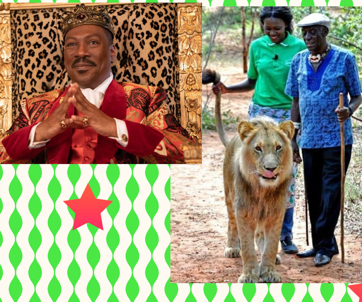 король в исполнении Эдди Мерфи и настоящий африканский король с принцессой и ручным львом… 