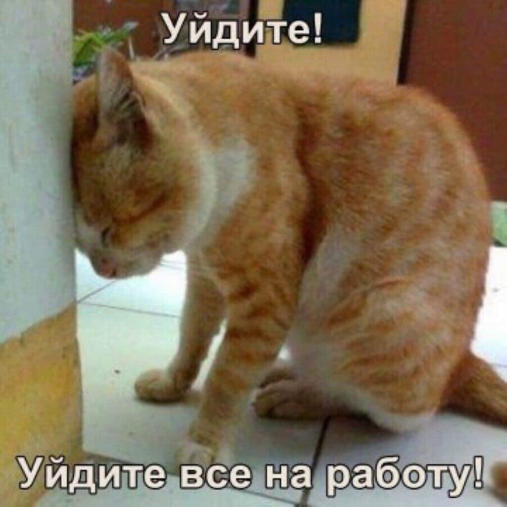 иллюстрация из яндекс картинки.