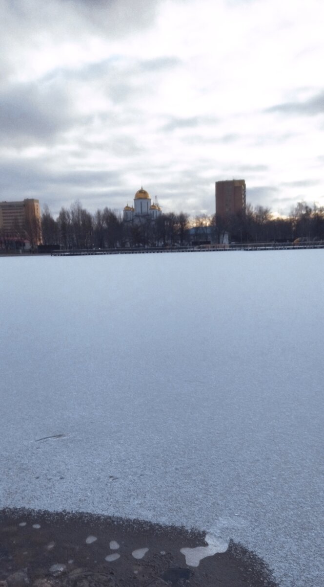 Ноябрь. Пруд замёрз. Прогулка моя. Фото моё. 