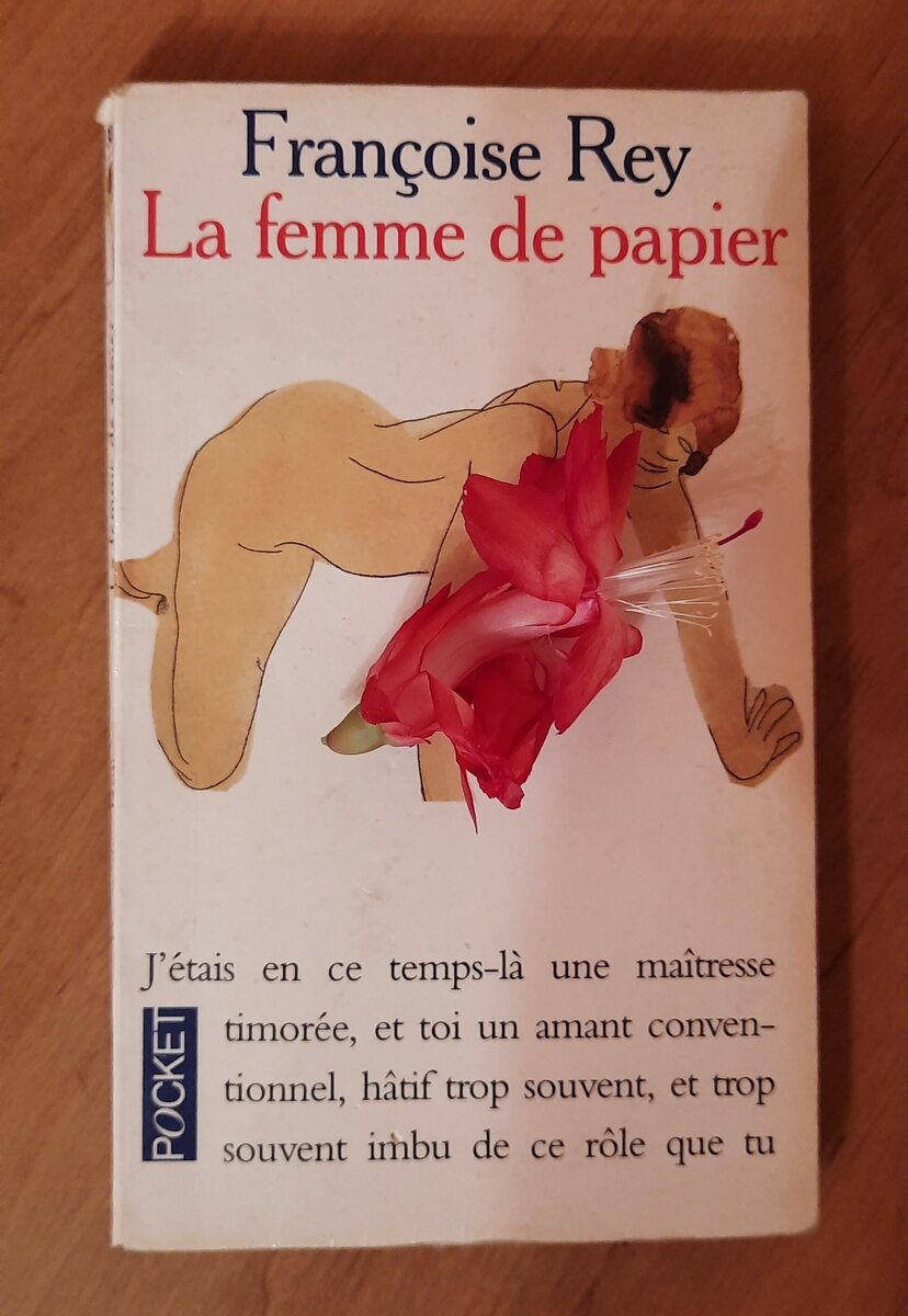 Мечтать можно и на французском )))   A quoi rêvent les filles,,,