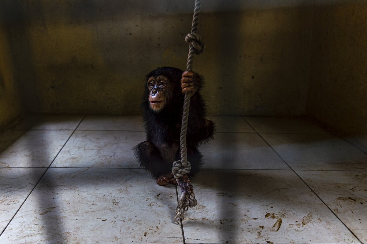 © Renato Granieri (Сьерра-Леоне), Siena International Photo Awards 2021