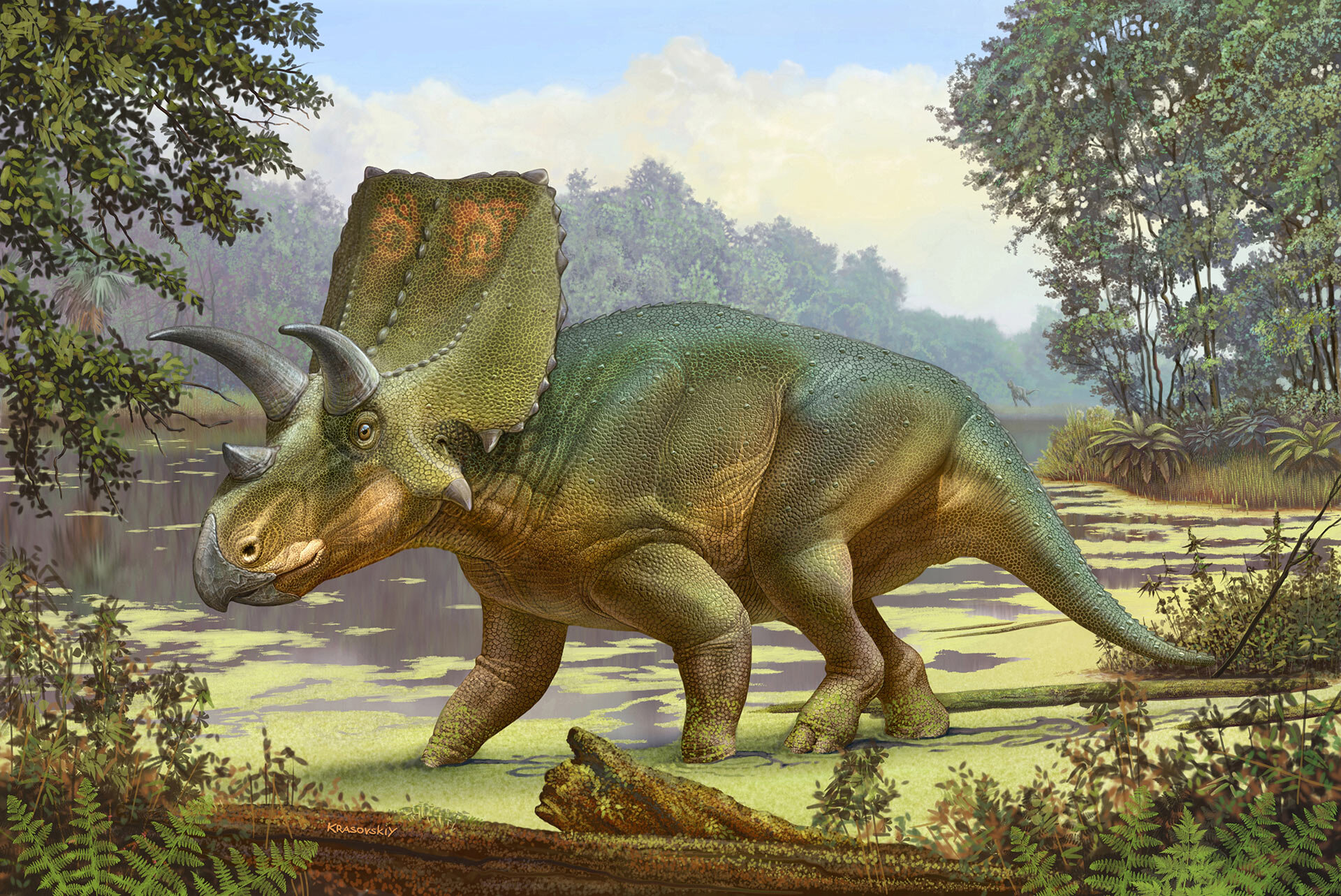 Покажи трицератопса. Трицератопс палеоарт. Травоядные динозавры Трицератопс.