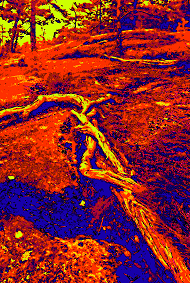 Фотокартина Игоря Потёмкина