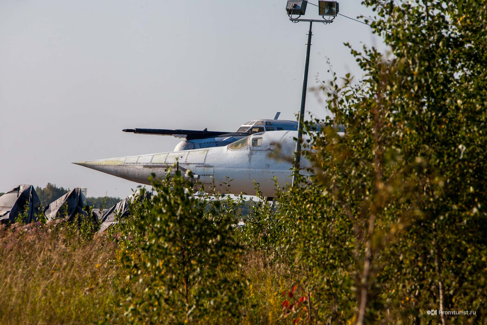 Собирал грибы, а нашёл (на полянке) Ту-95 и Ту-22М3. Ну и сравнил их ✈️??6