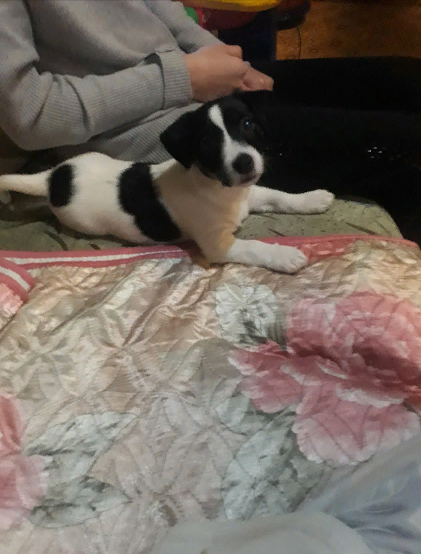 Джек первый день дома