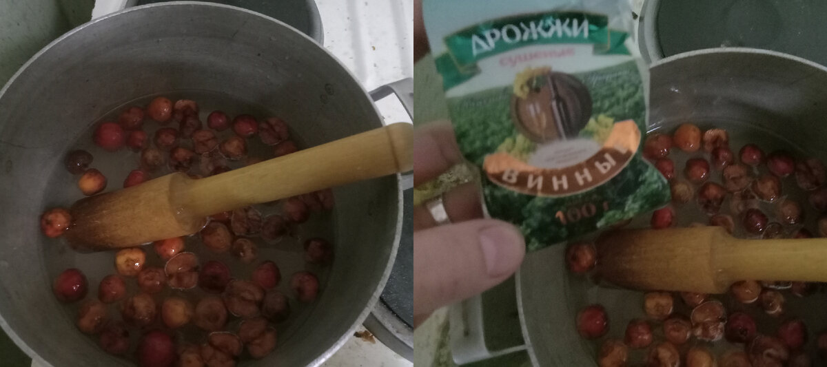 Слегка отвариваем мезгу из ранеток для получения фруктовых кислот и ценного пектина, от которого винные дрожжи работают усерднее. Источник: фото автора.