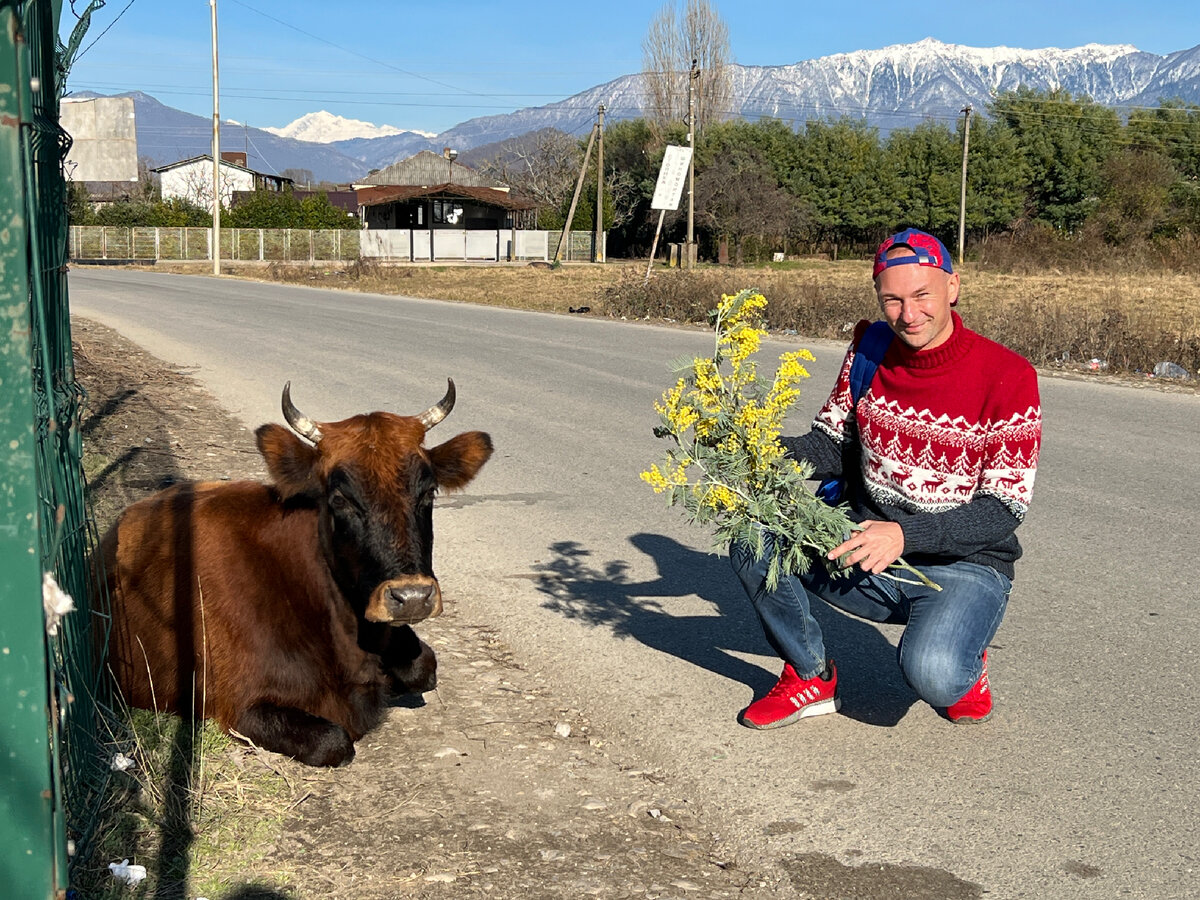 Однажды в Абхазии 😀 Все фото автора. Зима 2022
