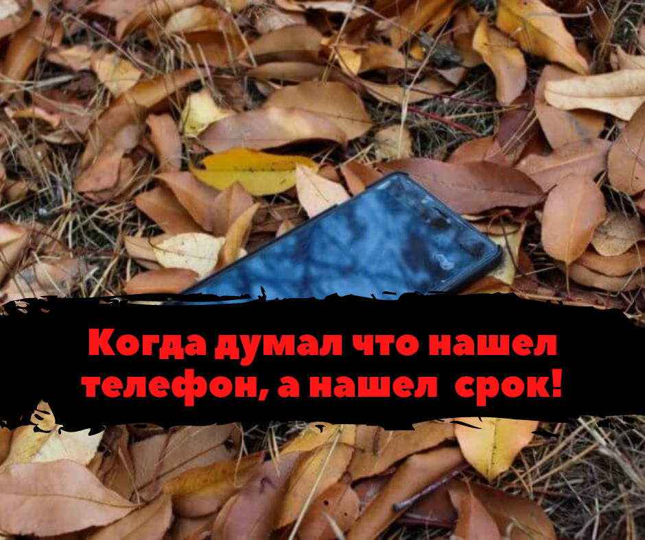 Изображение взято из открытого источника