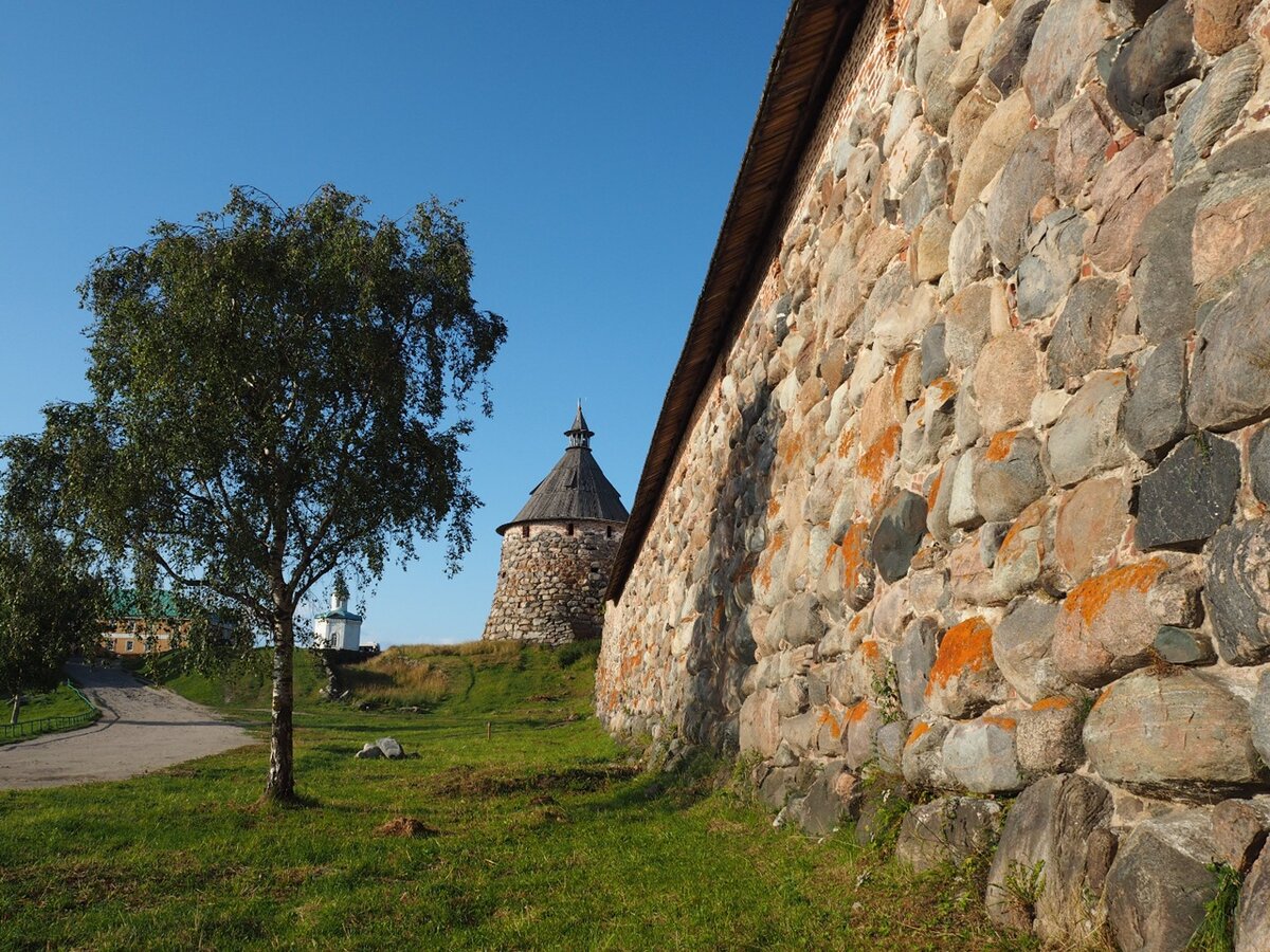 Фото: Евгений Яковлев 