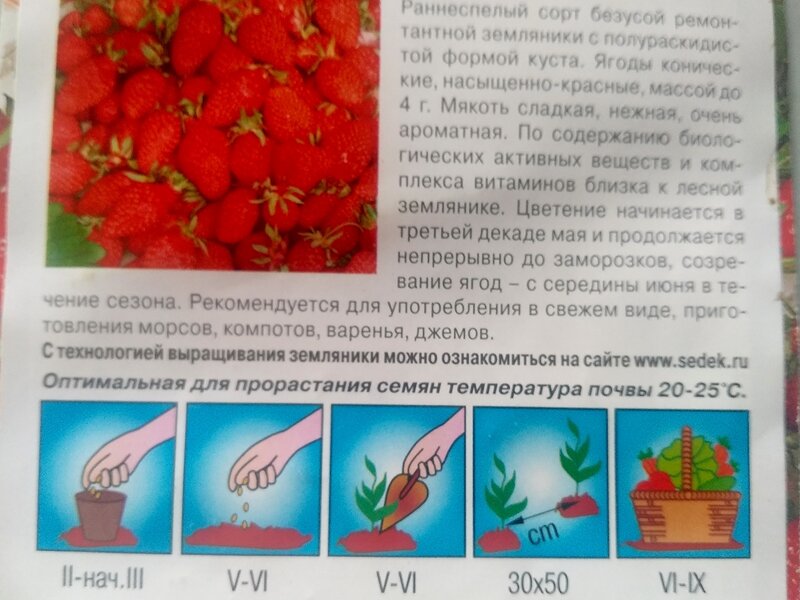 Описание сорта на обратной стороне пакета