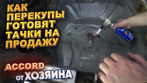 Как перекупы готовят тачки на продажу. Accord от хозяина. Часть 1.