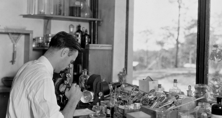 Самые ранние сведения о микроскопе относят к 1590 году и связывают с именами Иоанна Липперсгея и Захария Янсена, которые занимались изготовлением очков.