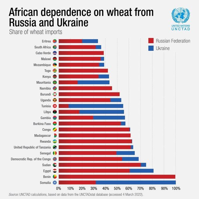 Зависимость стран Африки от поставок пшеницы из России и Украины. Данные UNCTAD