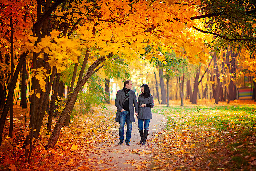 Осень к весне ревновать. Осенний парк. Прогулка в парке. Пара в парке осень. Осенняя прогулка.