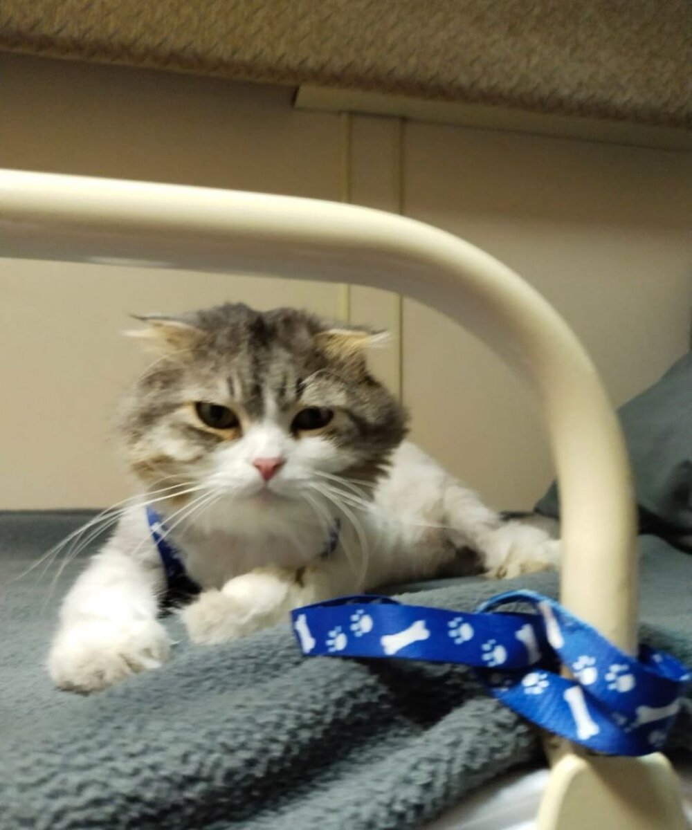 Каспер едет в поезде на Кубань к родственникам